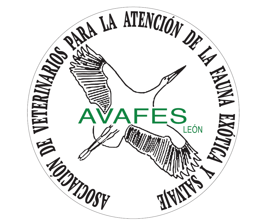 Logo AVAFES